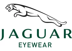 Jaguár